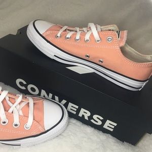 Brand New Converse Low Top Seasonal